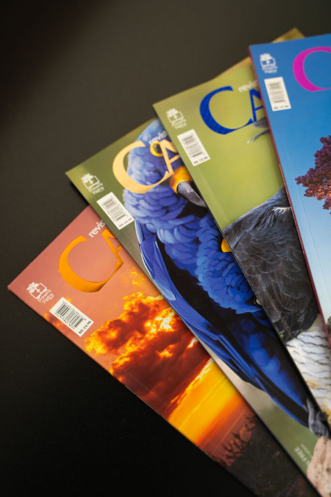 Editorial > Revista