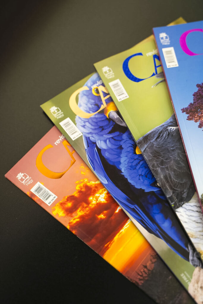 Editorial > Revista